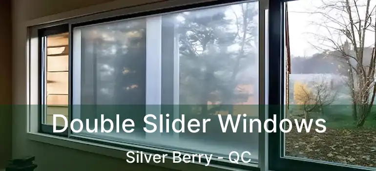 Double Slider Windows Silver Berry - QC
