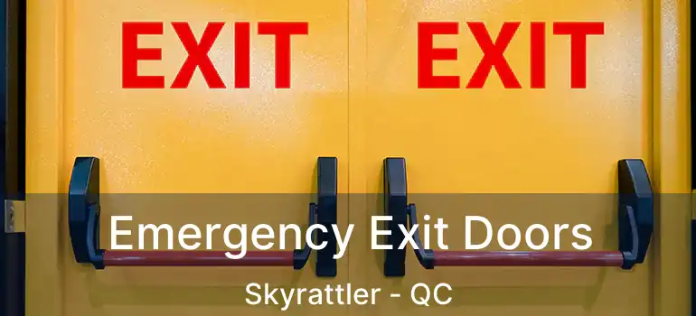  Emergency Exit Doors Skyrattler - QC