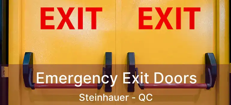  Emergency Exit Doors Steinhauer - QC