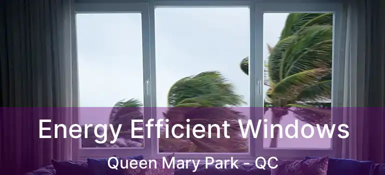  Energy Efficient Windows Queen Mary Park - QC