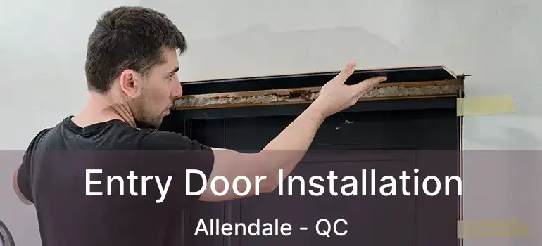 Entry Door Installation Allendale - QC