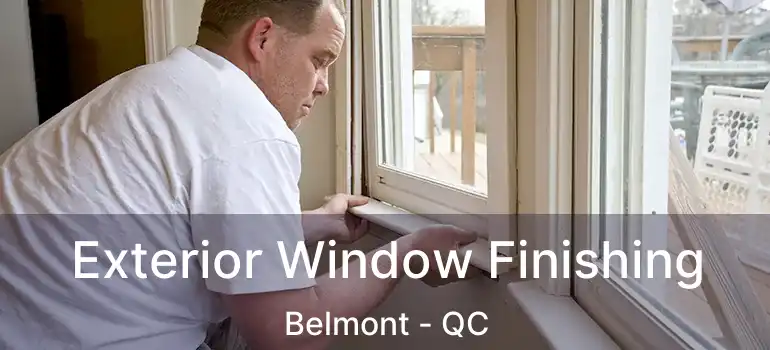  Exterior Window Finishing Belmont - QC