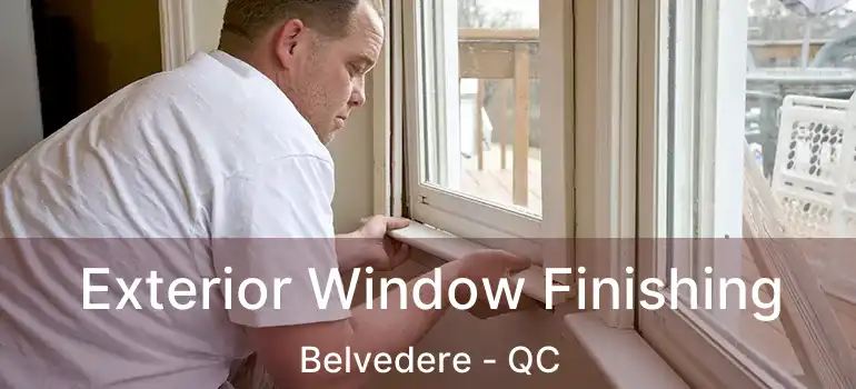  Exterior Window Finishing Belvedere - QC