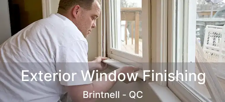  Exterior Window Finishing Brintnell - QC