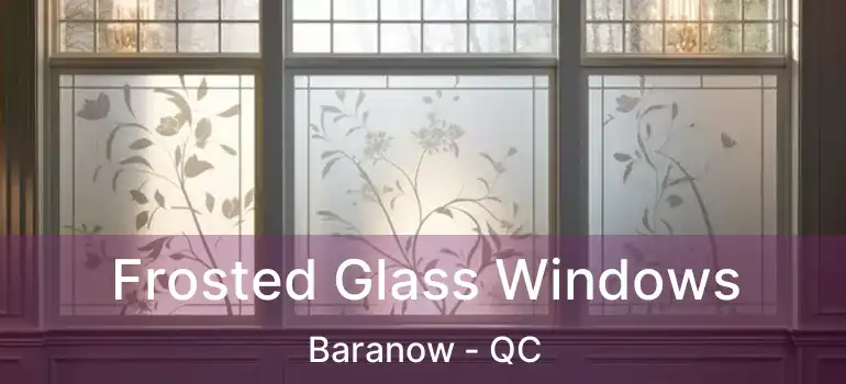  Frosted Glass Windows Baranow - QC