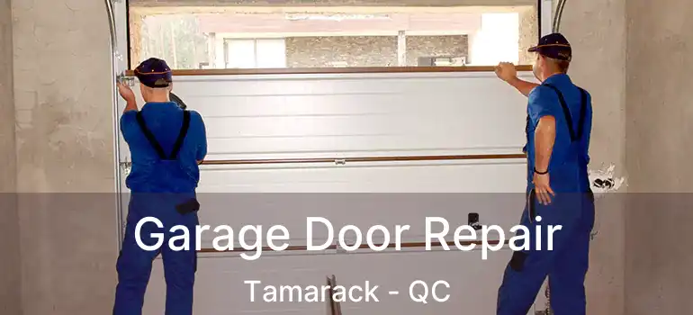 Garage Door Repair Tamarack - QC