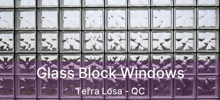 Glass Block Windows Terra Losa - QC