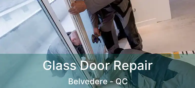  Glass Door Repair Belvedere - QC