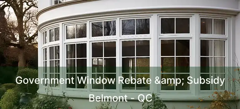 Government Window Rebate & Subsidy Belmont - QC