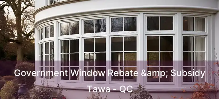 Government Window Rebate & Subsidy Tawa - QC
