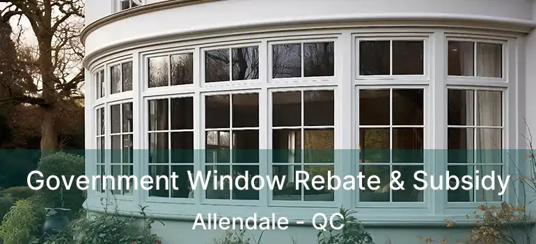  Government Window Rebate & Subsidy Allendale - QC