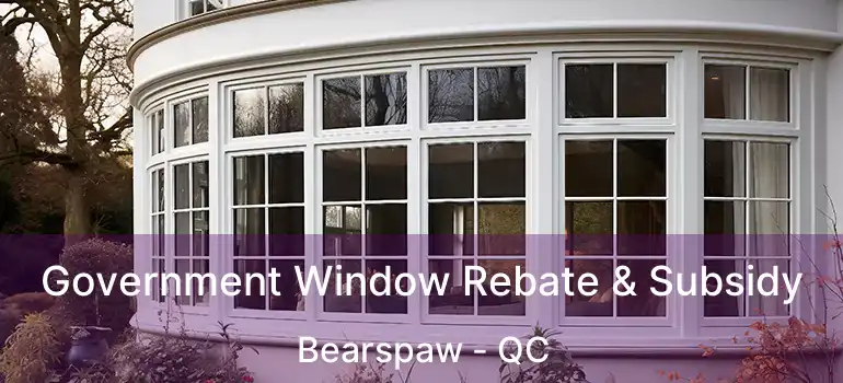 Government Window Rebate & Subsidy Bearspaw - QC