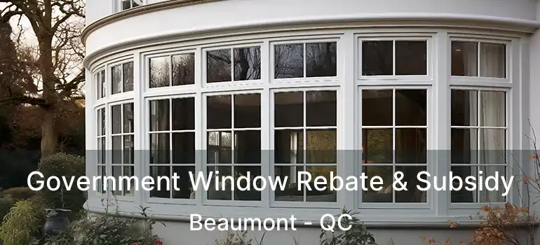  Government Window Rebate & Subsidy Beaumont - QC