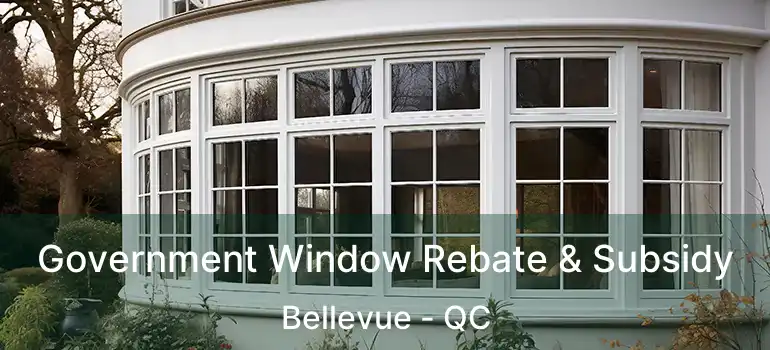 Government Window Rebate & Subsidy Bellevue - QC