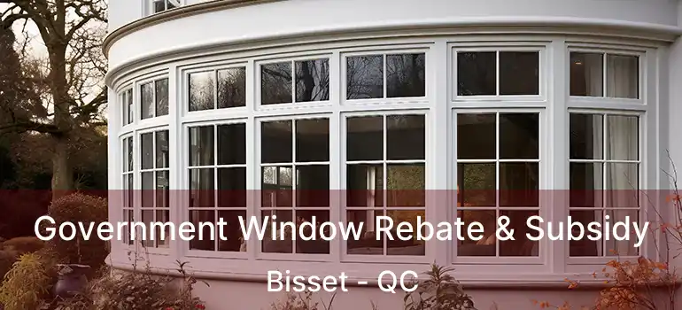  Government Window Rebate & Subsidy Bisset - QC
