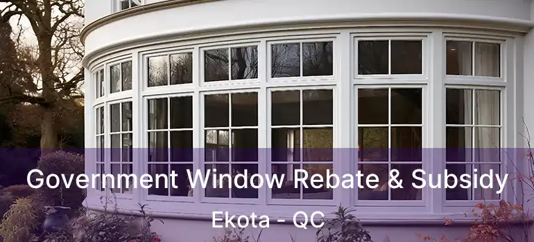 Government Window Rebate & Subsidy Ekota - QC