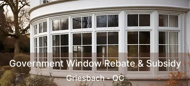  Government Window Rebate & Subsidy Griesbach - QC