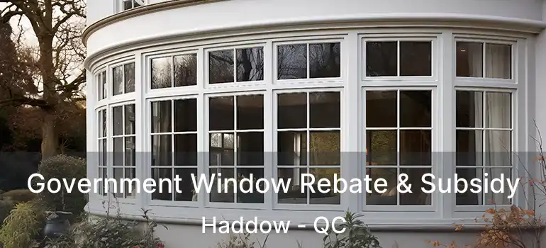  Government Window Rebate & Subsidy Haddow - QC