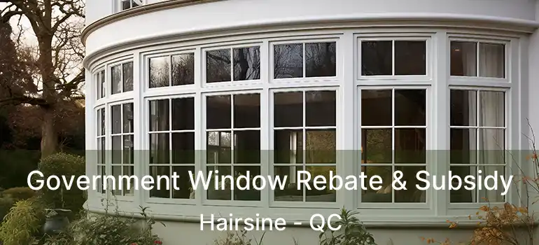 Government Window Rebate & Subsidy Hairsine - QC
