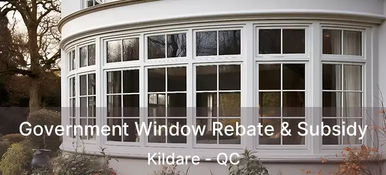  Government Window Rebate & Subsidy Kildare - QC