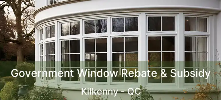 Government Window Rebate & Subsidy Kilkenny - QC