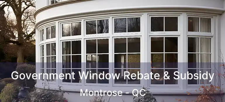 Government Window Rebate & Subsidy Montrose - QC