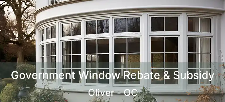  Government Window Rebate & Subsidy Oliver - QC
