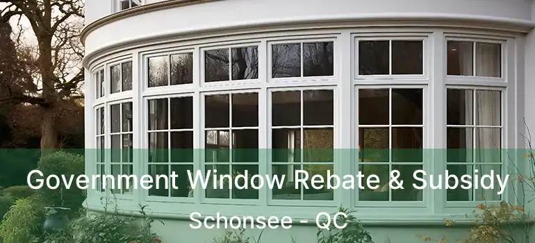  Government Window Rebate & Subsidy Schonsee - QC