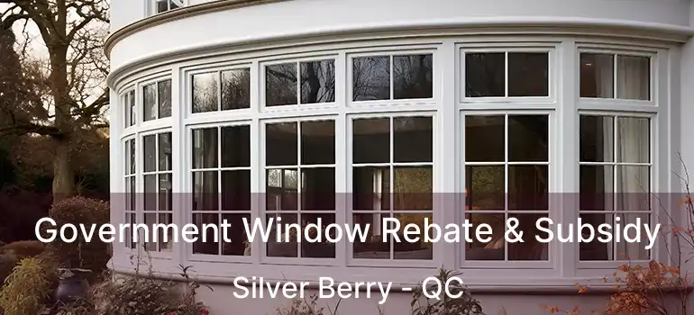 Government Window Rebate & Subsidy Silver Berry - QC