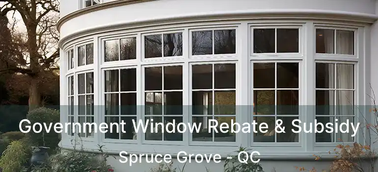  Government Window Rebate & Subsidy Spruce Grove - QC