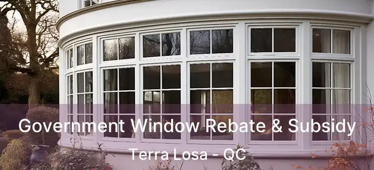 Government Window Rebate & Subsidy Terra Losa - QC
