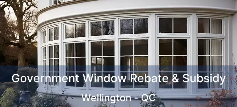 Government Window Rebate & Subsidy Wellington - QC