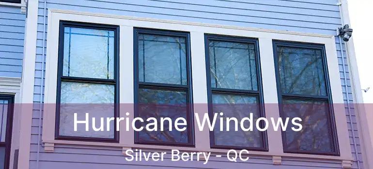  Hurricane Windows Silver Berry - QC
