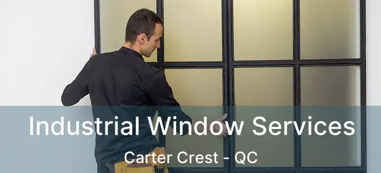  Industrial Window Services Carter Crest - QC