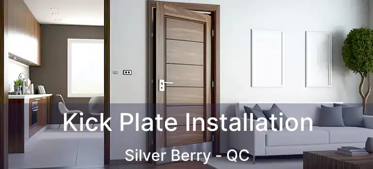  Kick Plate Installation Silver Berry - QC