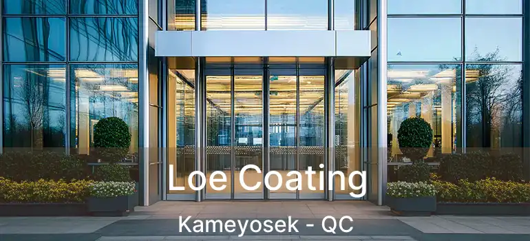 Loe Coating Kameyosek - QC