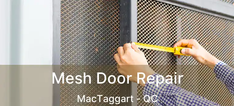  Mesh Door Repair MacTaggart - QC