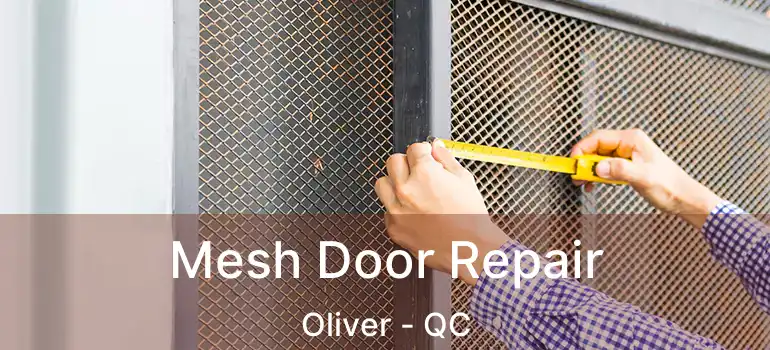 Mesh Door Repair Oliver - QC