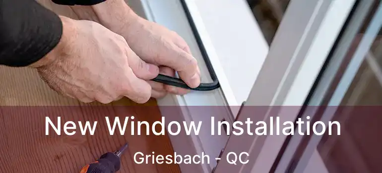  New Window Installation Griesbach - QC