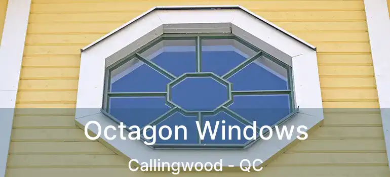  Octagon Windows Callingwood - QC