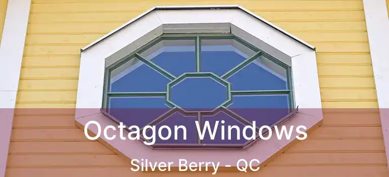  Octagon Windows Silver Berry - QC