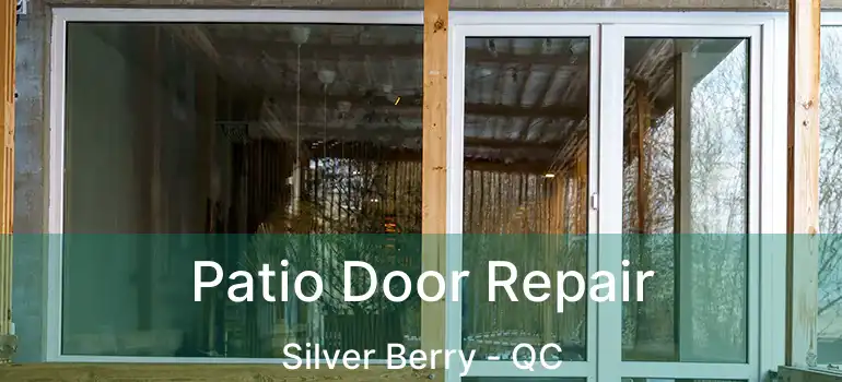  Patio Door Repair Silver Berry - QC