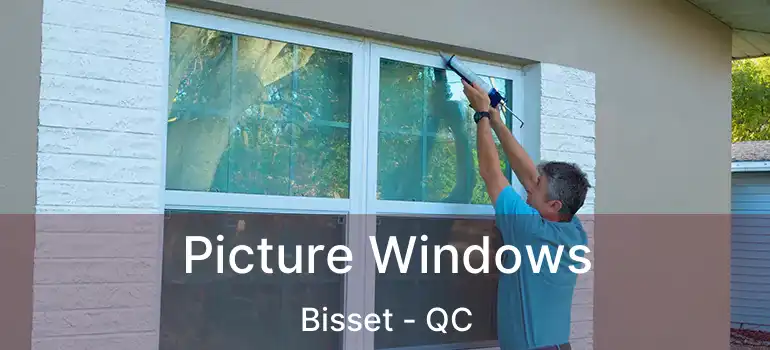  Picture Windows Bisset - QC