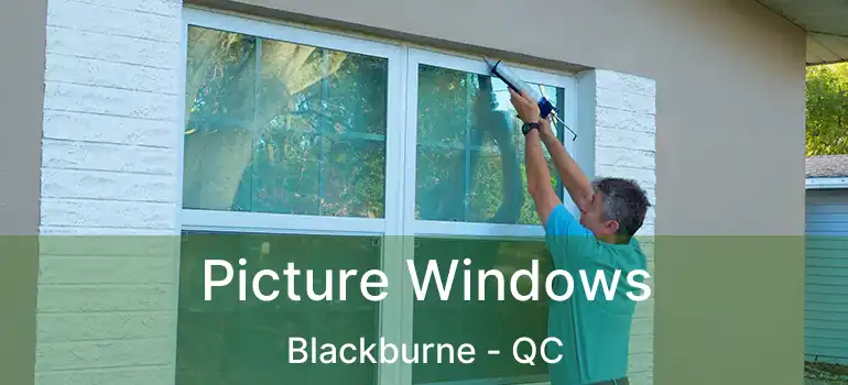  Picture Windows Blackburne - QC