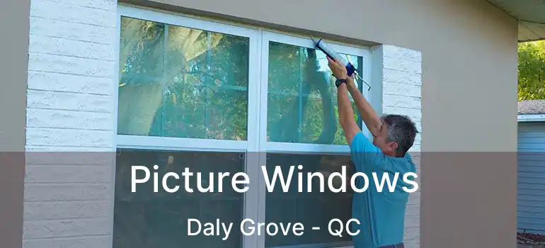  Picture Windows Daly Grove - QC