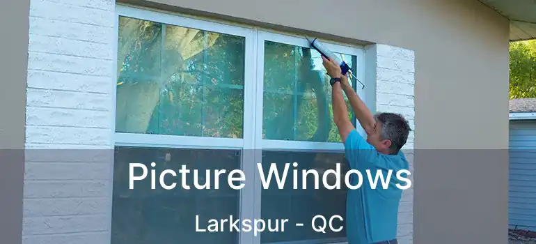 Picture Windows Larkspur - QC