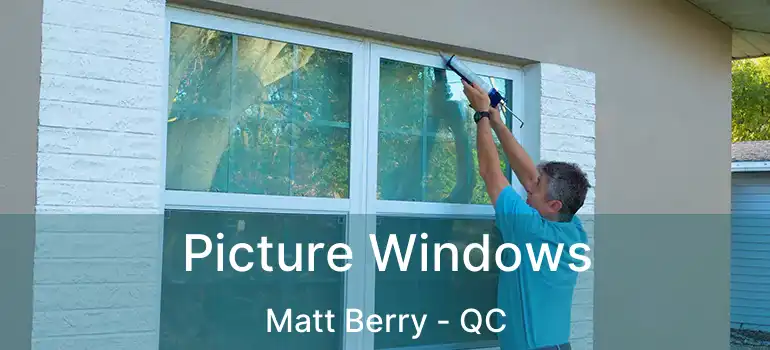  Picture Windows Matt Berry - QC