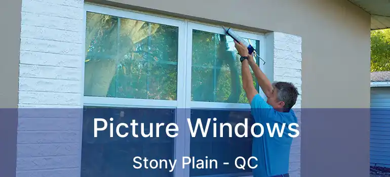 Picture Windows Stony Plain - QC