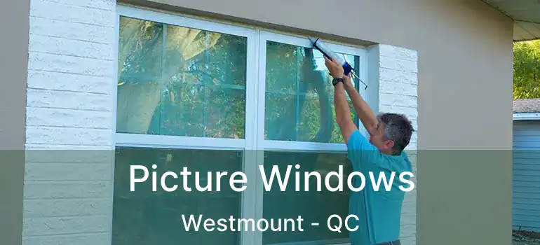  Picture Windows Westmount - QC