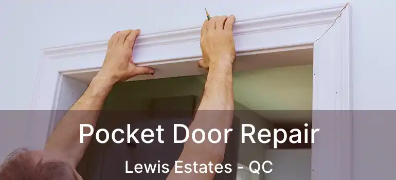  Pocket Door Repair Lewis Estates - QC